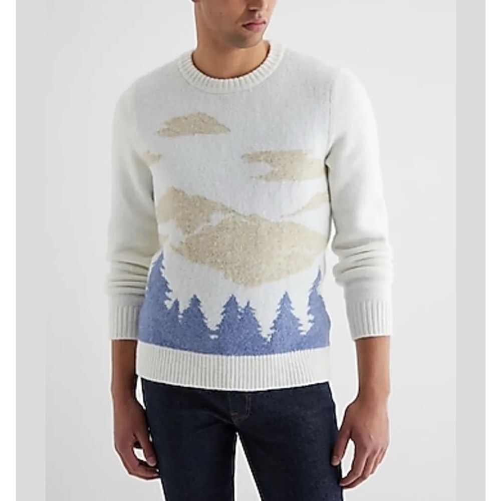 Express White and Blue Scenic Sweater